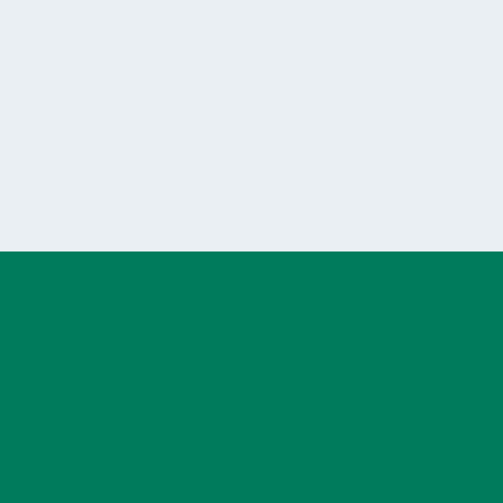 fondo sección