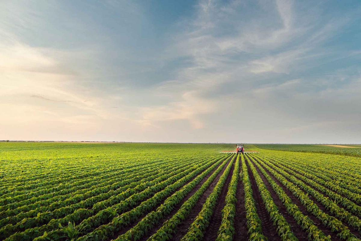 Europa protege el medioambiente. Conoce el Pacto Verde Europeo