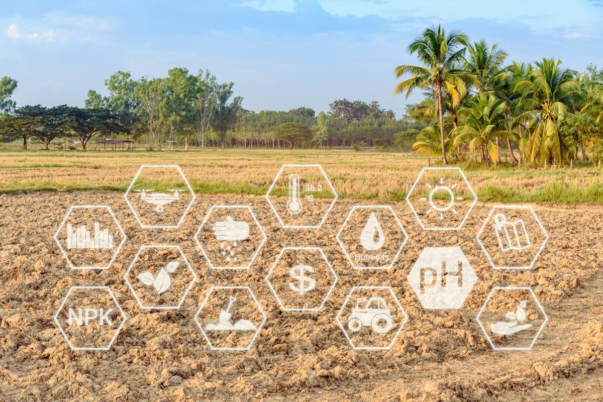 Agrotech, la revolución de la agricultura