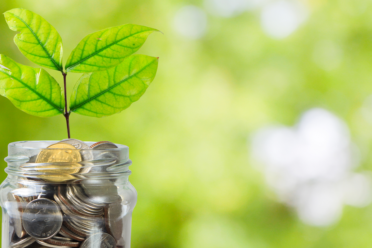 El método de ahorro 50-30-20