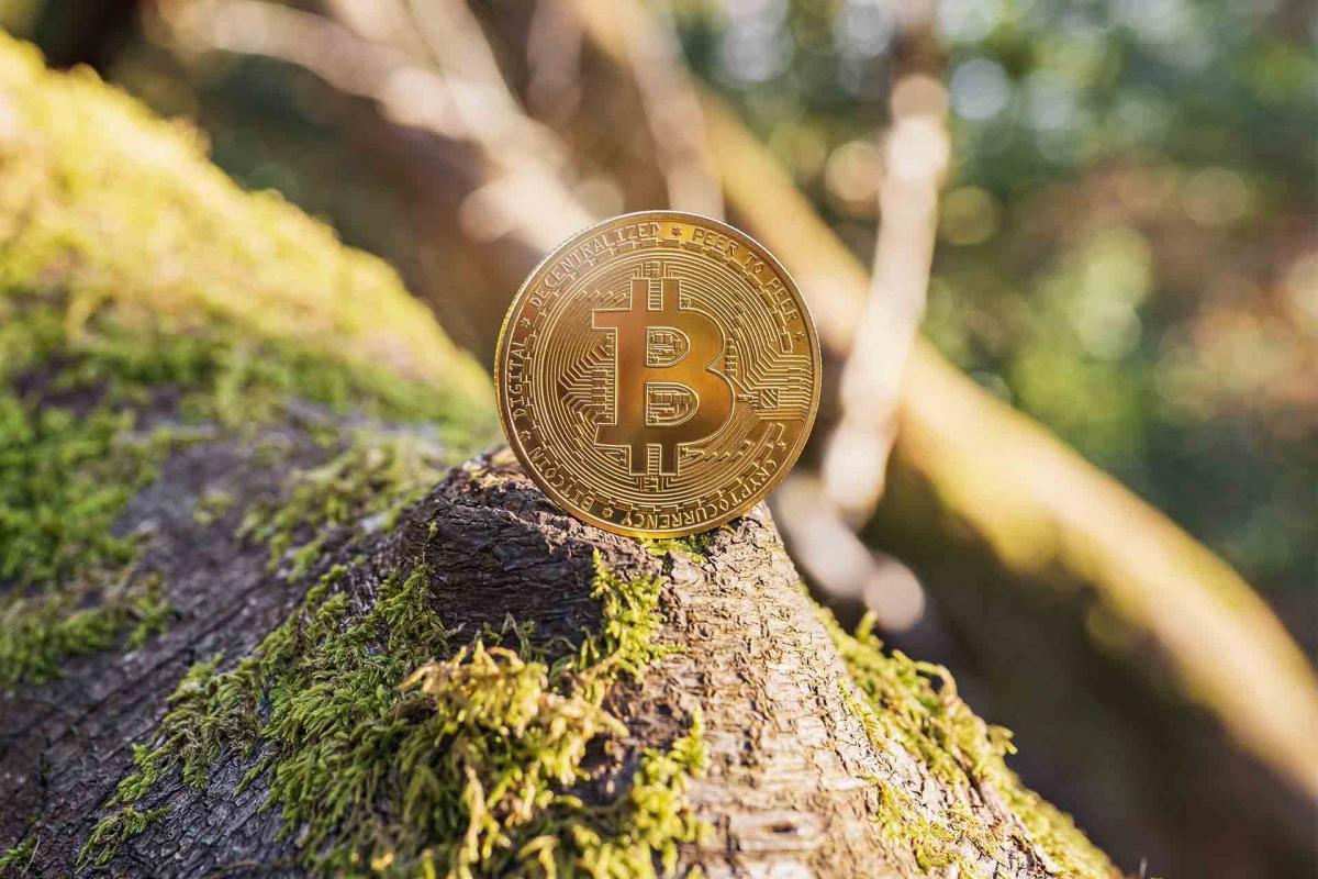 ¿Cómo afecta el uso de criptomonedas al medioambiente? Claves para ser más sostenible