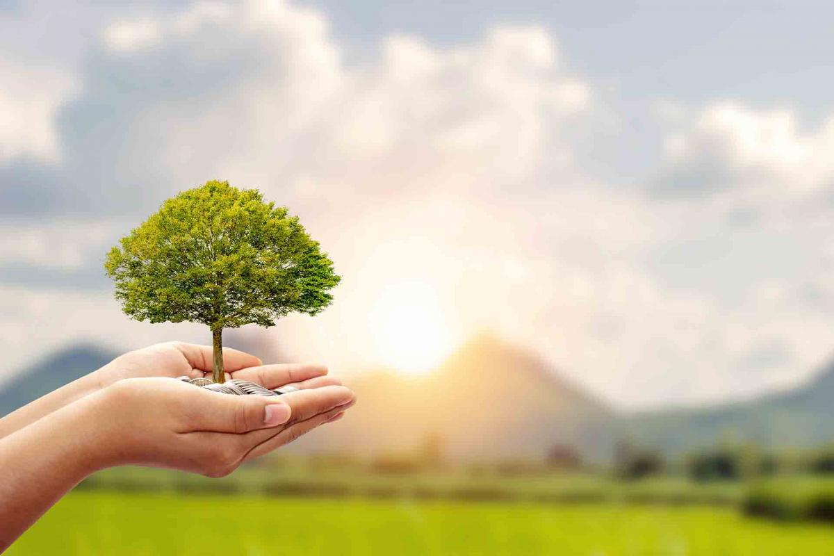 Apostando por un futuro mejor con los nuevos Fondos Sostenibles