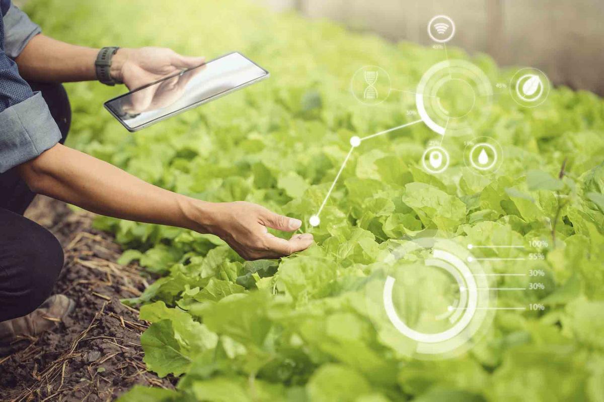 ¿Eres agricultor y quieres mejorar tu negocio? Descubre estas tecnologías agrícolas