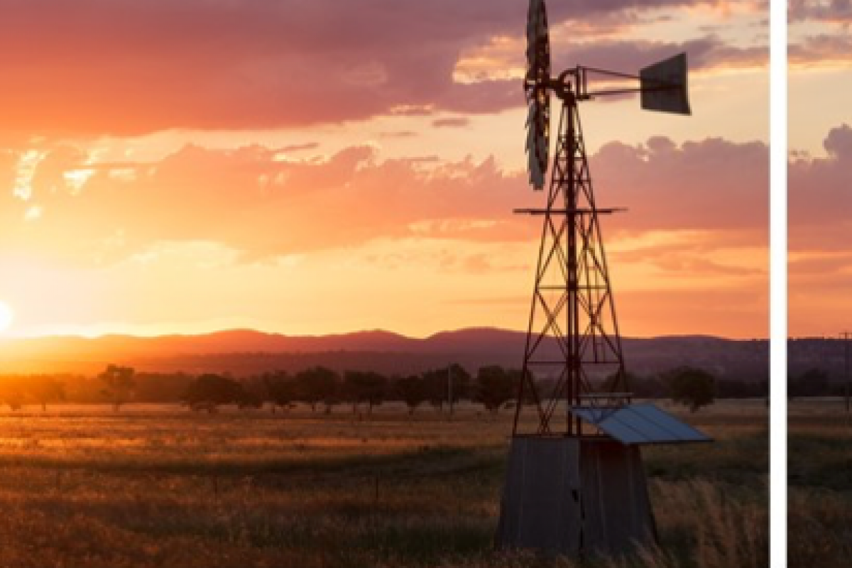 El sector agrícola como nuevo foco de los fondos de inversión