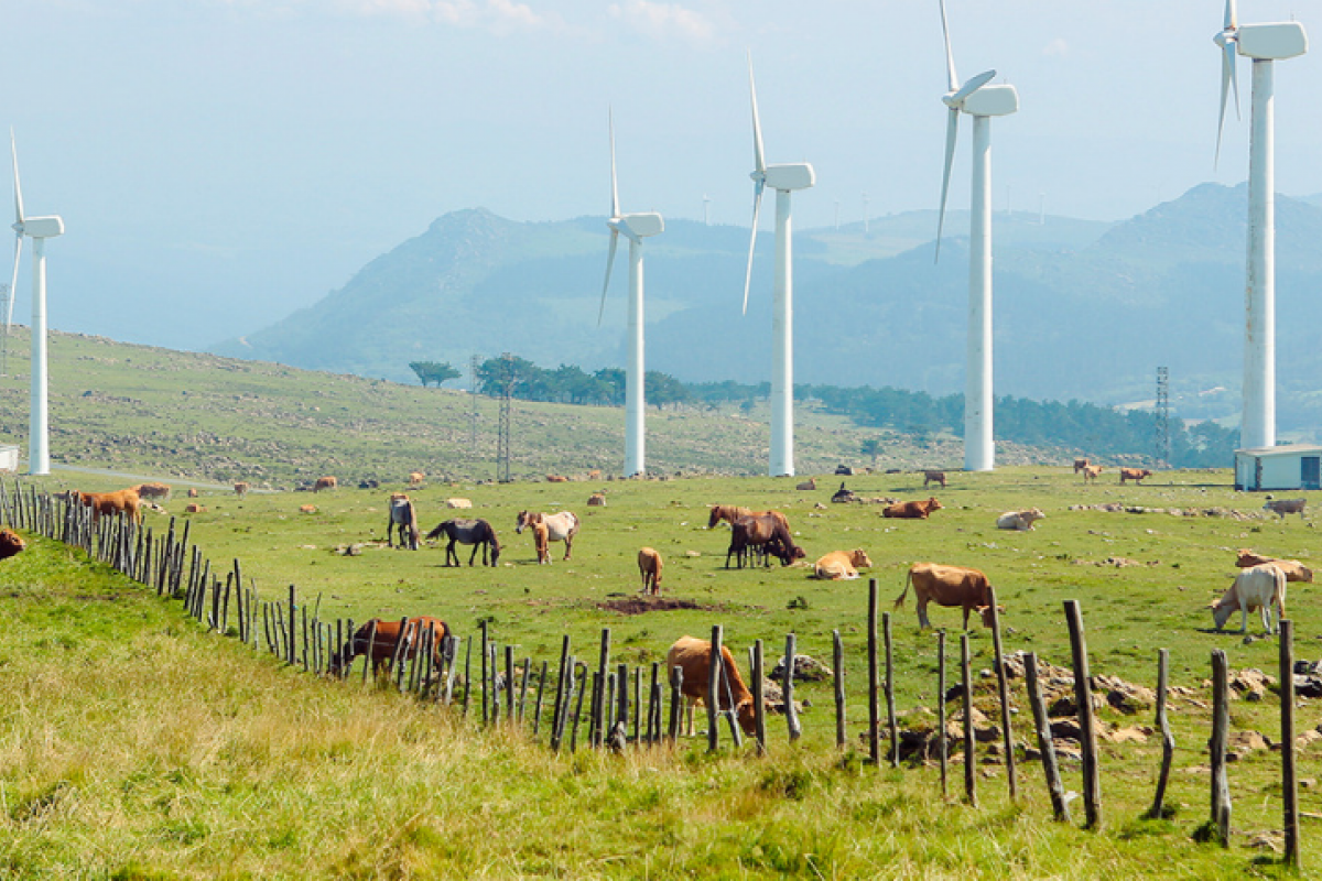 El  Marco Estratégico de Energía y Clima generaría 300.000 nuevos puestos de trabajo en España