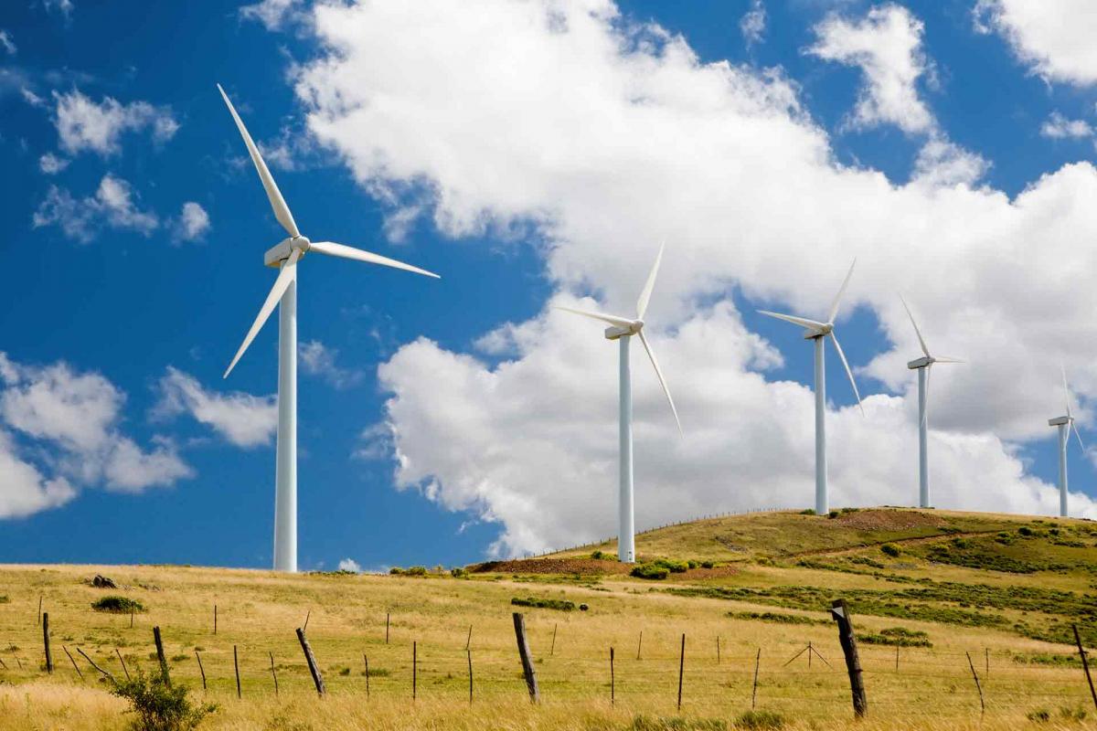 Todo lo que necesitas saber sobre el futuro de las energías renovables