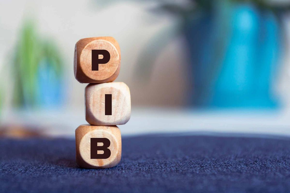 PIB: Todo lo que debes saber