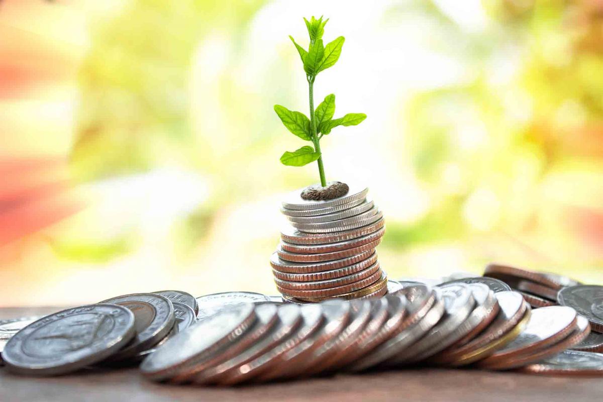 Una guía completa sobre los fondos de inversión de Renta Fija Una guía completa sobre los fondos de inversión de Renta Fija