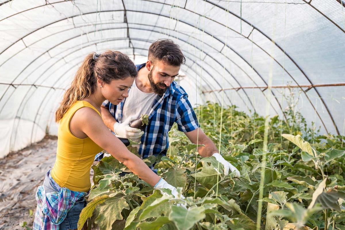 CULTIVA, El Erasmus europeo para jóvenes agricultores y ganaderos