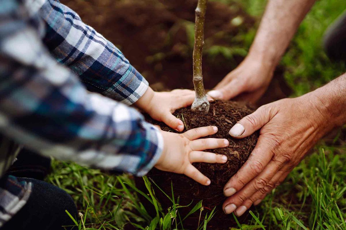 Educa a tus hijos en el cuidado del medioambiente con estas herramientas digitales Educa a tus hijos en el cuidado del medioambiente con estas herramientas digitales