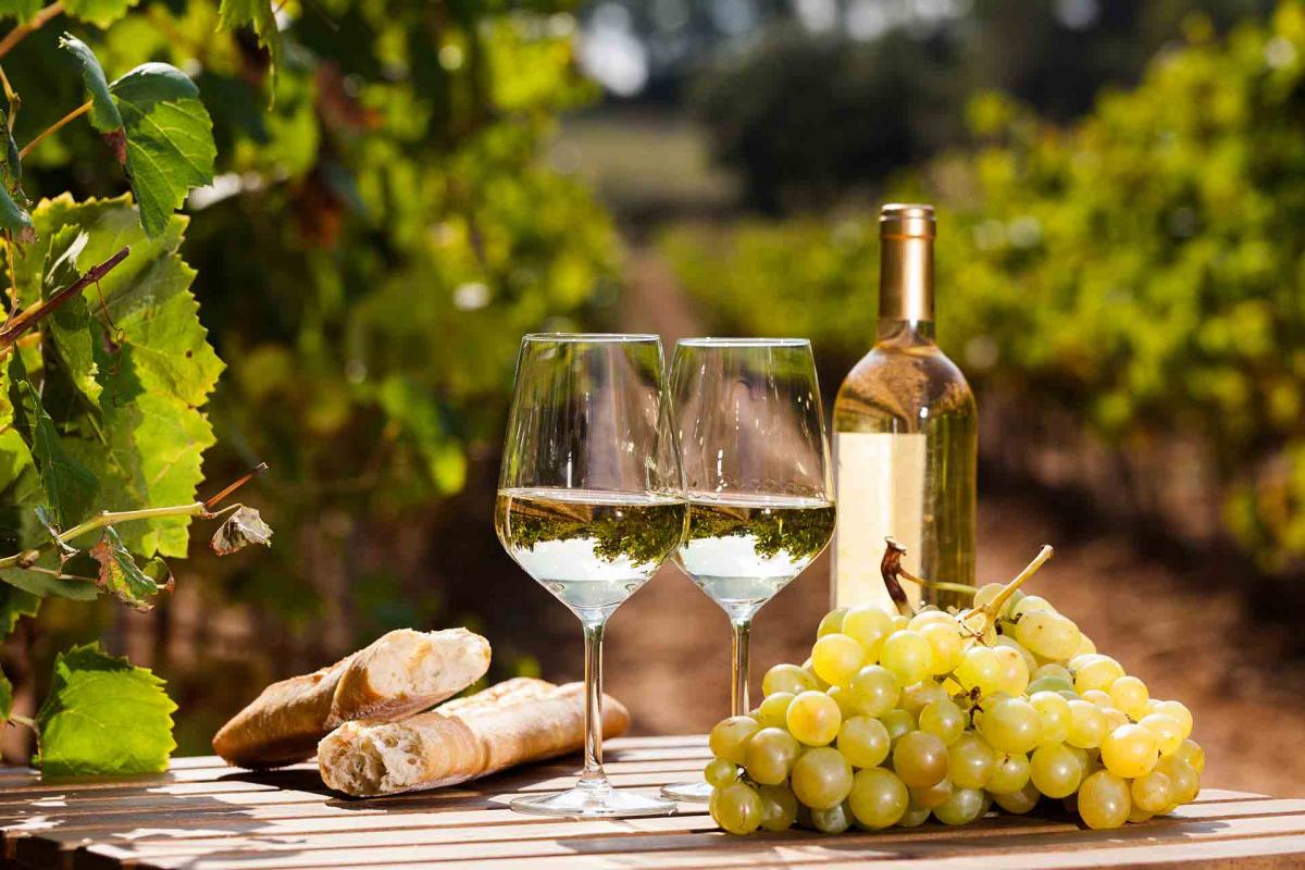 Todo lo que es necesario para obtener la Denominación de Origen