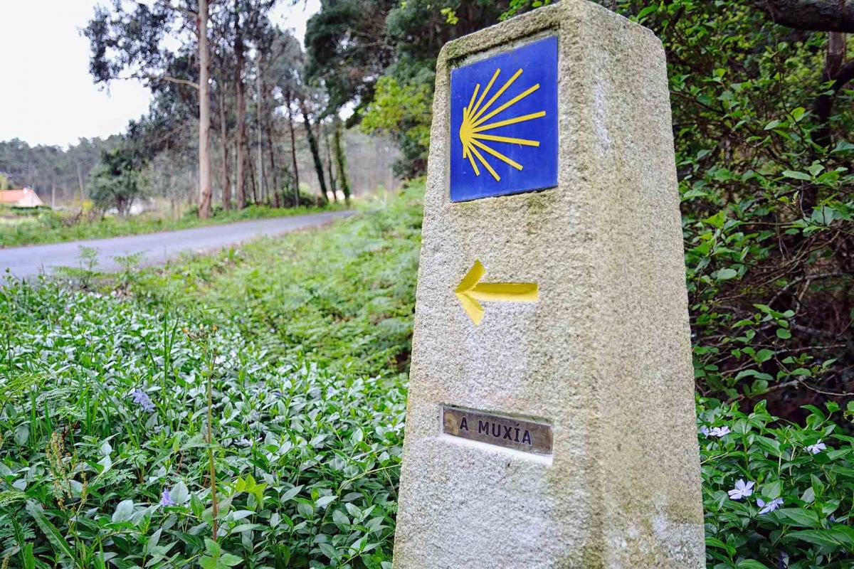 ¿Quieres hacer el Camino de Santiago? Aprovecha el año Xacobeo 21-22 ¿Quieres hacer el Camino de Santiago? Aprovecha el año Xacobeo 21-22
