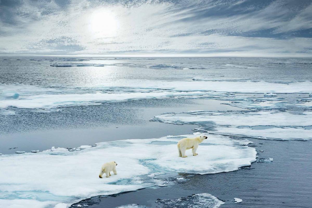 España, a la cabeza de los países con mayor concienciación medioambiental España, a la cabeza de los países con mayor concienciación medioambiental