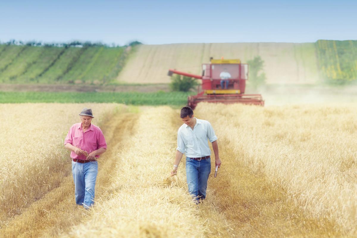 Iniciativas y ayudas para atraer al campo a 20.000 nuevos jóvenes agricultores Iniciativas y ayudas para atraer al campo a 20.000 nuevos jóvenes agricultores