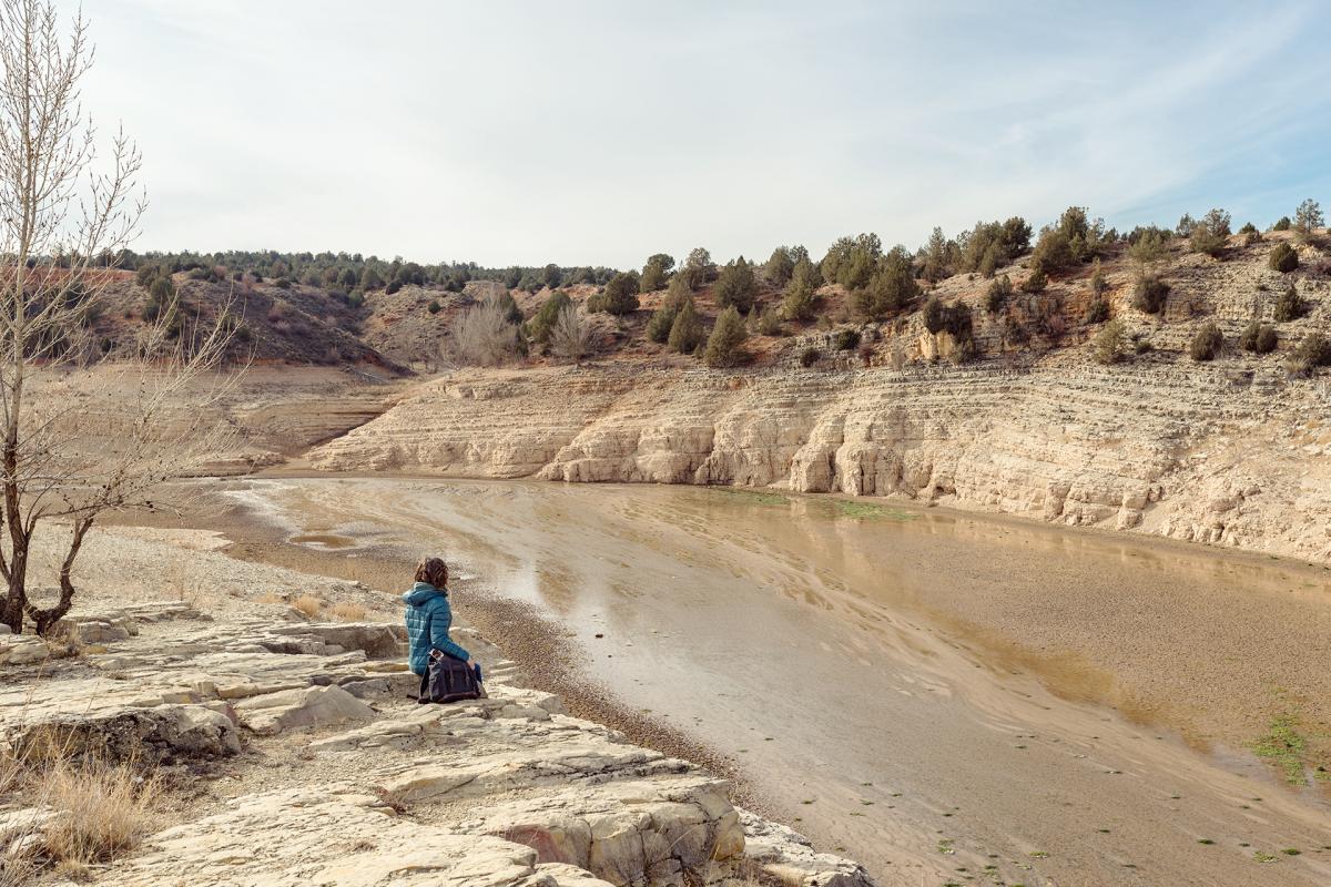 La importancia de la reforestación para frenar la desertificación La importancia de la reforestación para frenar la desertificación