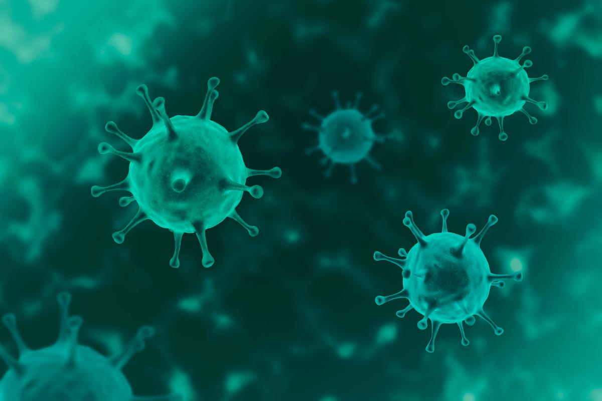 ¿Qué novedades nos encontramos en los mercados?