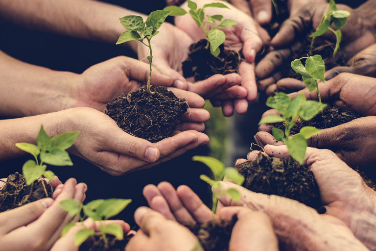 La banca responsable de Caja Rural Central La banca responsable de Caja Rural Central