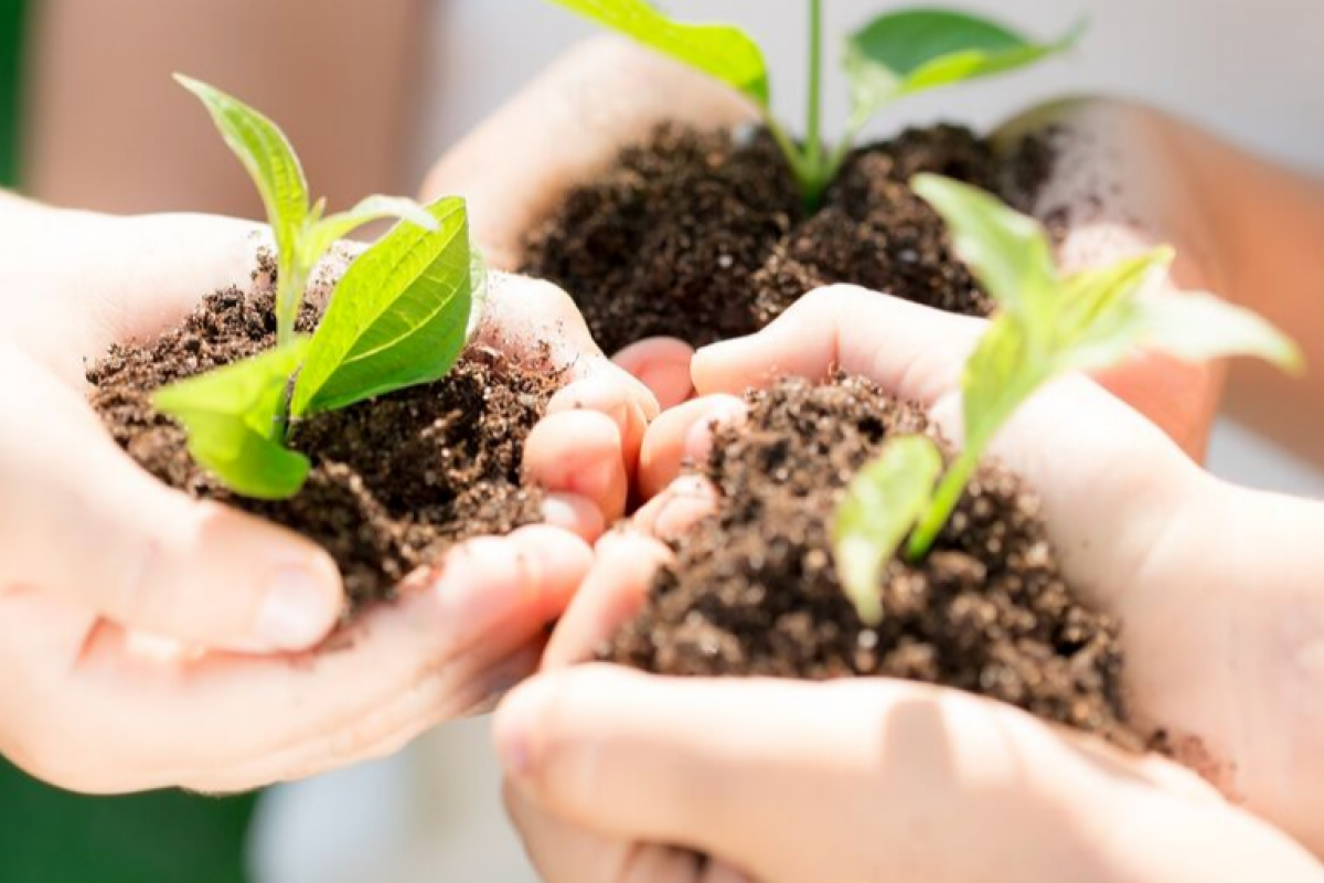 CRC, orgullosos del cooperativismo financiero CRC, orgullosos del cooperativismo financiero