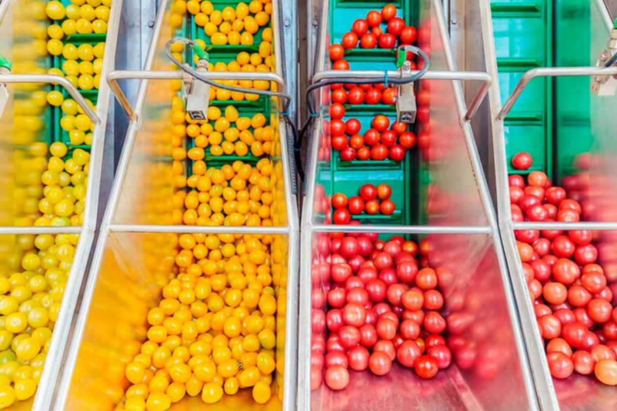 Las exportaciones agroalimentarias, cerca de duplicarse en la última década Las exportaciones agroalimentarias, cerca de duplicarse en la última década