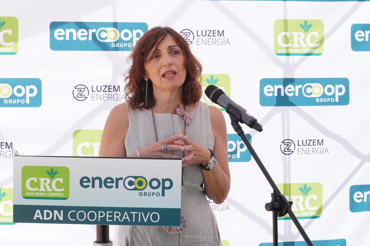Grupo Enercoop & CRC y la primera planta solar de 4 MW en Requena, LUZEM-San Antonio Grupo Enercoop & CRC y la primera planta solar de 4 MW en Requena, LUZEM-San Antonio