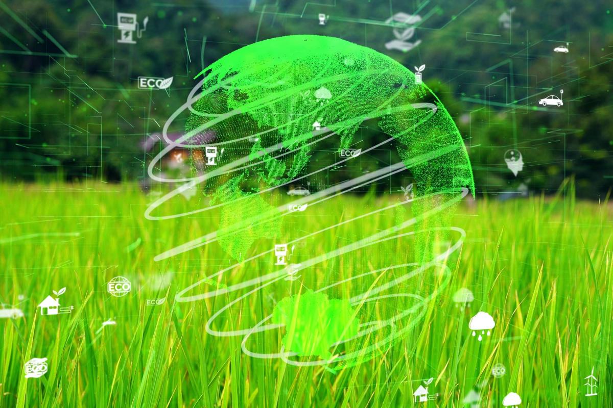 Nuestra visión de los mercados en 2022 Nuestra visión de los mercados en 2022