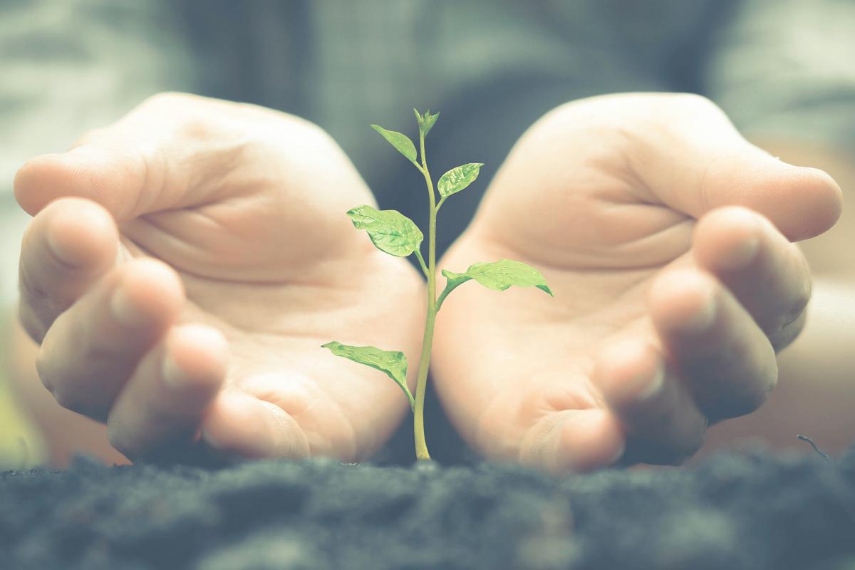 ¿Tienes una empresa? Calcula la huella de carbono y comprométete con el medio ambiente ¿Tienes una empresa? Calcula la huella de carbono y comprométete con el medio ambiente