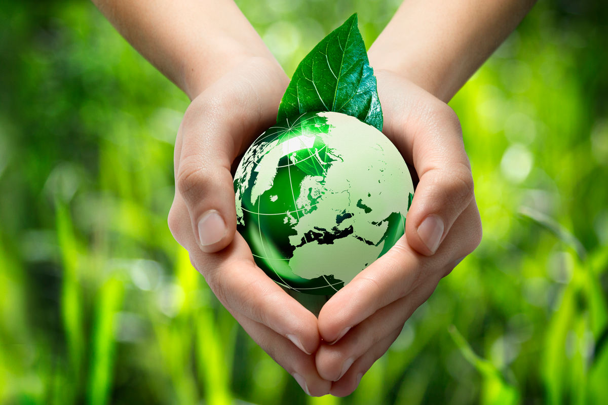 La importancia del reciclaje La importancia del reciclaje