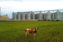 Ganadería en transformación: retos reales y decisiones clave para el sector 